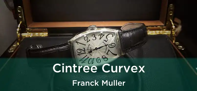  Cintree Curvex Franck Muller