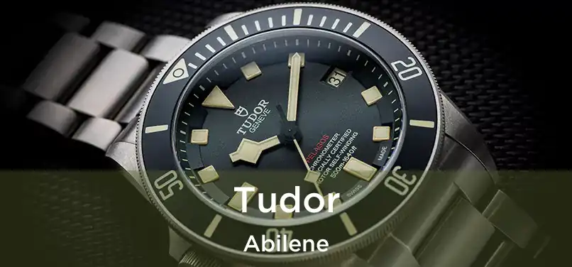  Tudor Abilene